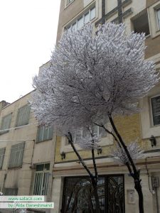 روزهای برفی تهران