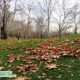 نمایی از پارک ملت تهران در پاییز