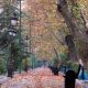 پارک ملت-تهران