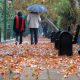 پارک ملت-تهران